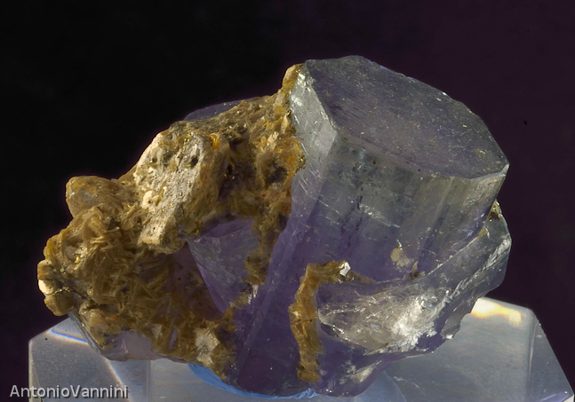 Apatite da Panasqueira