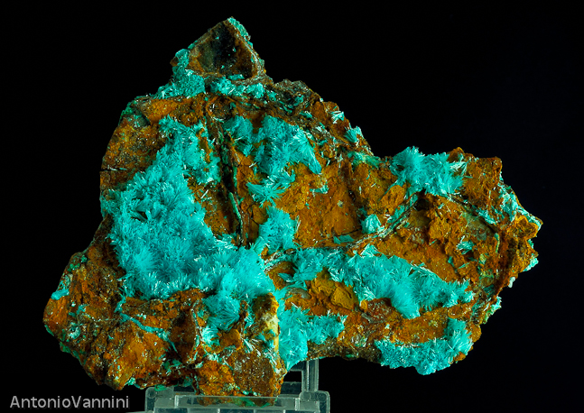 Auricalcite da Campiglia