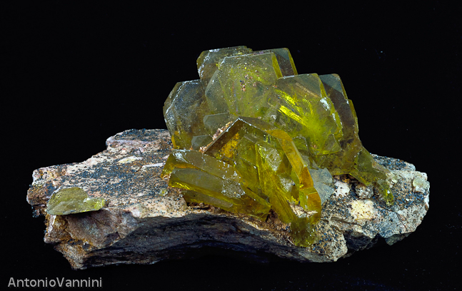 Barite peruviana