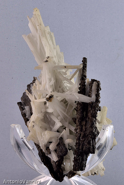 Cerussite da Montevecchio Sardegna