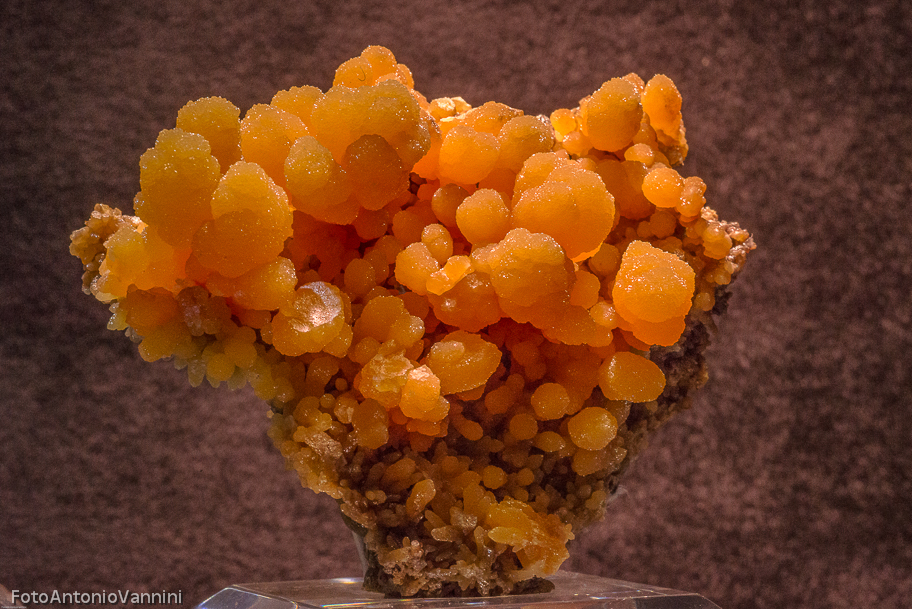 _DSC7553