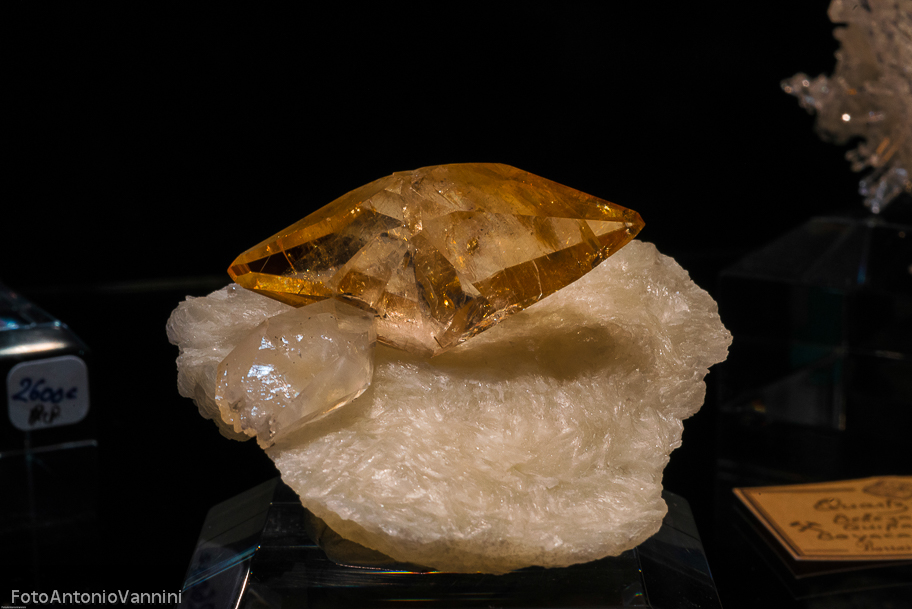 _DSC7573